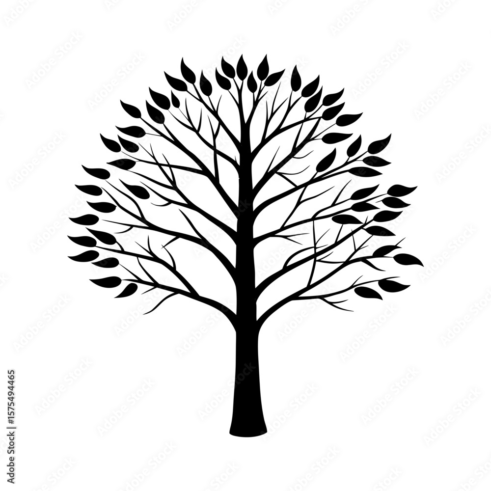 Obraz premium Birch Tree Clipart Vector Illustration