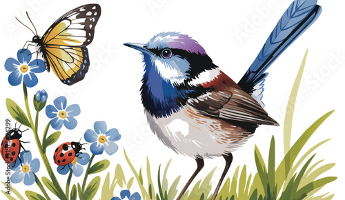 Artistic Watercolor Illustration of Superb Fairywren, Butterfly, Ladybugs and ForgetMeNots on White Background