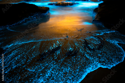 Bioluminescent waves shimmer along the shoreline in New South Wales, Australia, creating a surreal glow in the night.