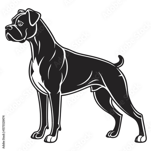 Black and White Boxer Dog Illustration Standing Profile View