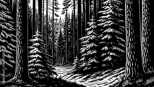 misty morning in Germany’s Black Forest with pine trees, narrow trails, fog, and fairy-tale ambiance designed in a black and white line art illustration for travel and nature artwork