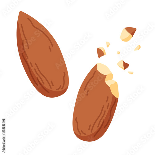 almonds, almond, scattered almond, broken almonds, broken almond, almonds vector, almonds illustration