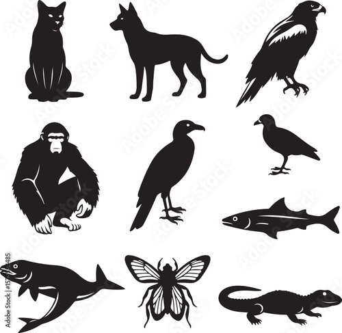Wildlife Shadow Ensemble