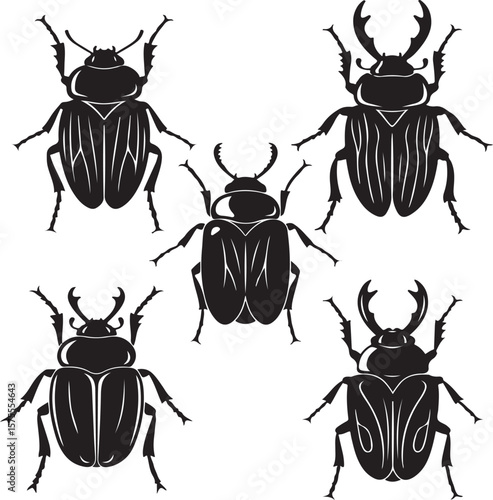 Majestic Beetle Shadow Set