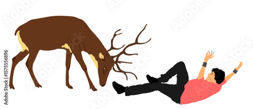 Deer attacks man who has fallen down and lying on ground vector illustration isolated. Angry animal with huge horns protect territory against intruder. Outdoor zoo battle boy in danger for life. 