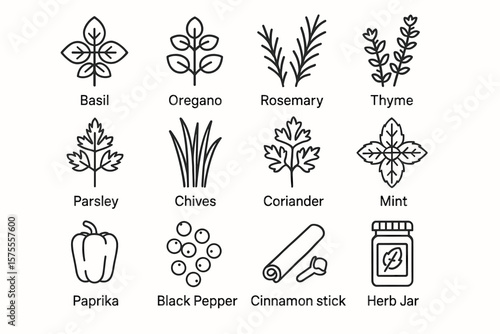 Herb and spice icon set: basil, oregano, rosemary, thyme, parsley, chives, coriander, mint