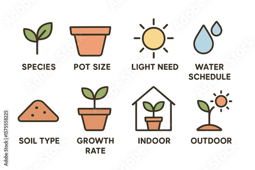 Plant care icons illustrating light, watering, and growth needs for indoor and outdoor settings