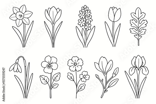Black and white line art of various flowers including tulips and daffodils