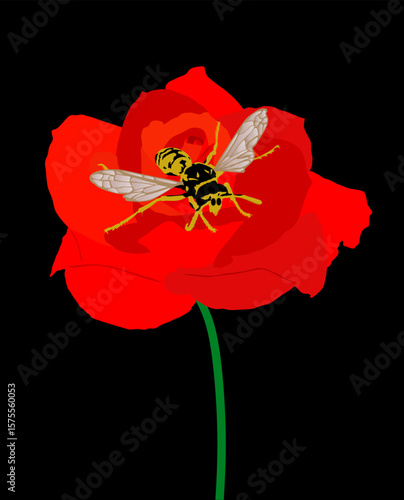 Red rose flower and bee vector illustration isolated. Beautiful plant with insect suck nectar. Pollination of a flower. Useful little animal bee produces honey in garden.