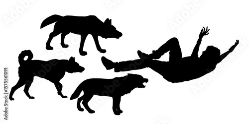 Wolf pack chasing a man fall down on ground vector silhouette illustration isolated. Scared man under animal attack shape shadow. Frighten boy lies defend yourself from  angry beast battle for life.