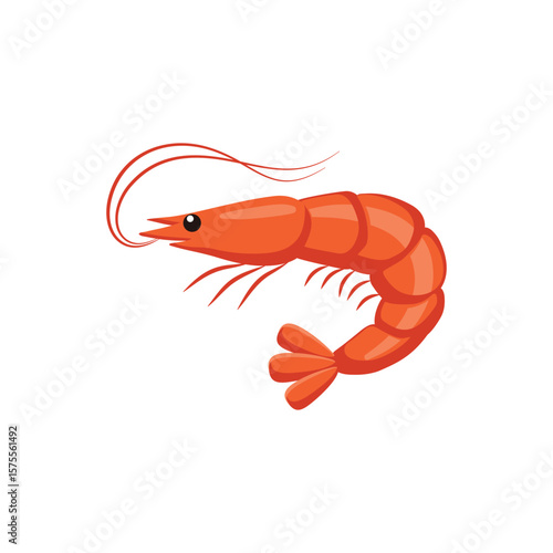 : shrimp flat vector design.