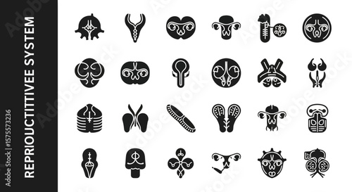 Reproductive System Silhouette Icon: Fertility & Anatomy Black Vector