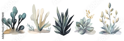 Watercolor style vector illustration of five minimalist succulent and cactus plants in soft green and beige tones with abstract shapes and delicate leaves