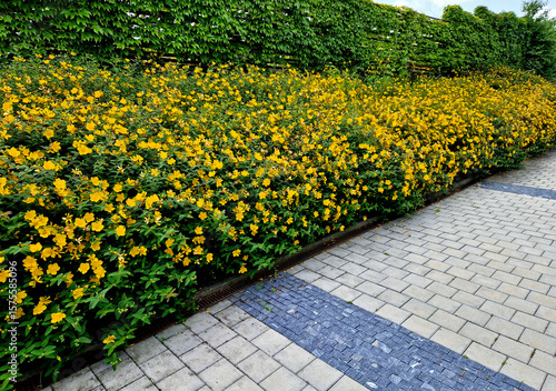Tablou pe pânză along the fence with a brick foundation is a flower bed with St