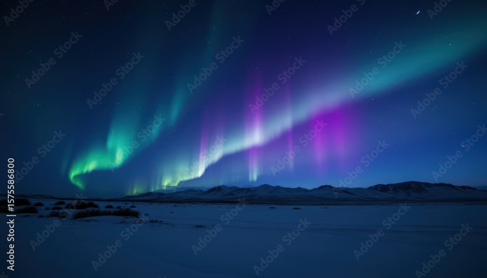 Naklejka premium Vibrant aurora borealis display over a snowy landscape (1)