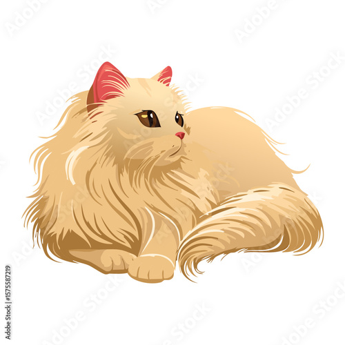 Cream Persian Cat Lying with Curled Tail