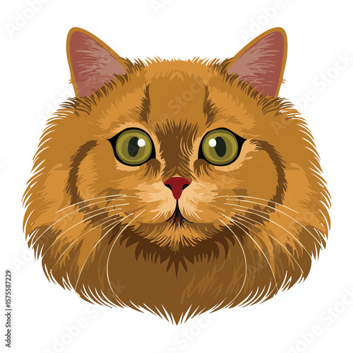 Brown Fluffy Persian Cat Head Portrait