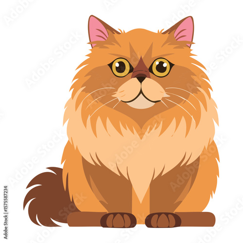 Sitting Orange Persian Cat Front View