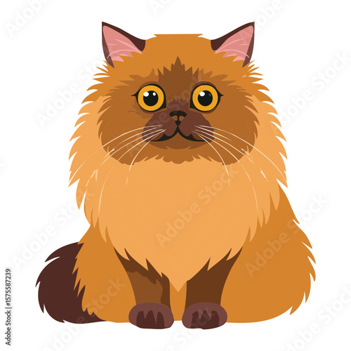 Bright Orange Fluffy Cat Head Portrait