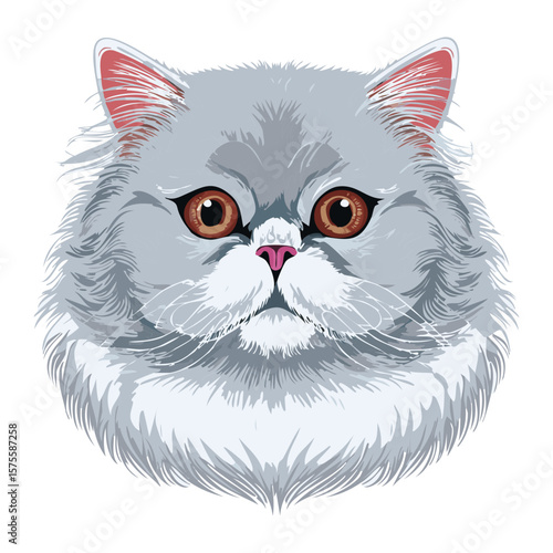 Fluffy Grey Persian Cat Head Shot Illustration