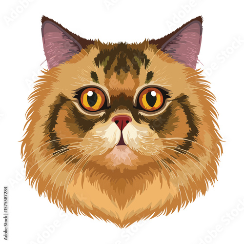 Beautiful Chinchilla Persian Cat Portrait Illustration