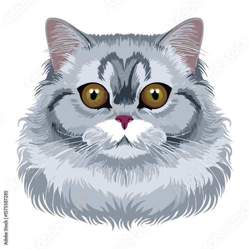 Silver Tabby Cat Close-up Head Shot Illustration