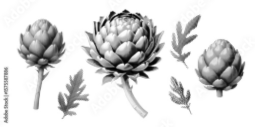 Artichoke, halftone vector illustration flower, in retro comic book style with bold dotted texture. Different positions, Black and white image, isolated on white background. Stylized plant