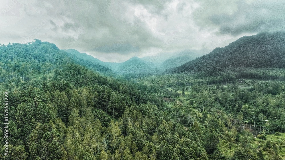 Naklejka premium Beautiful landscape of green nature in foot of mountain and hill with blue sky background