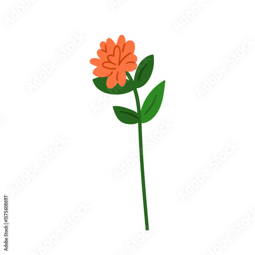 Flower blossom. Spring garden bloom. Delicate gentle floral plant, stem, bud ...