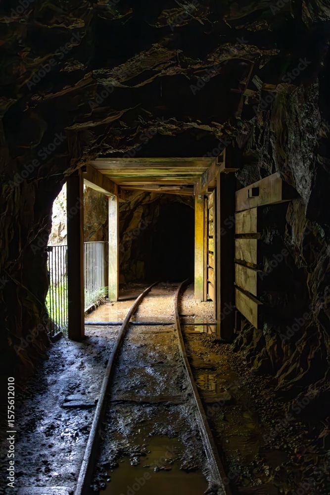 Fototapeta premium A view of the historic Karangahake gold mine tunnel in New Zealand. The tunnel was built to extract gold ore, and the tracks remain as a reminder of the mining history.