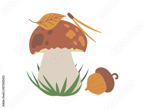 Beautiful boletus edulis porcini mushroom in autumn forest in grass near the acorn and falling orange leaf isolated on white background. Hand drawn vector flat illustration. Edible autumn mushroom