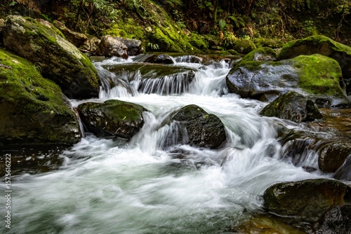 A scenic view of a stream cascading over moss-covered rocks in a lush forest. The water flows rapidly, creating a dynamic and refreshing atmosphere in NZ.