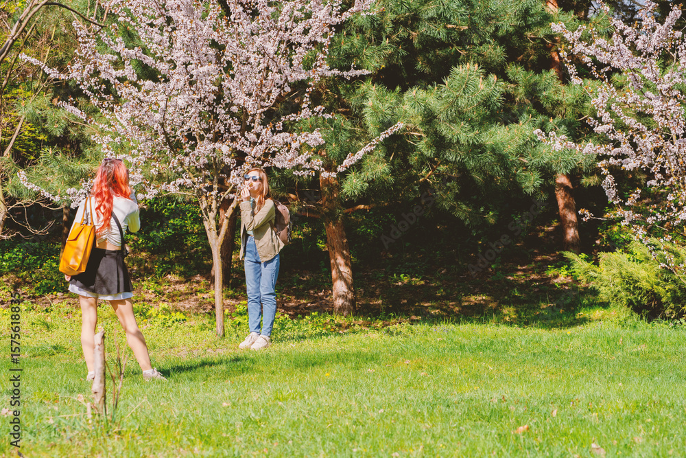 Fototapeta premium Two young women enjoying cherry blossom season in park with blooming sakura trees, one taking photos while other walks with yellow bag on sunny spring day outdoors
