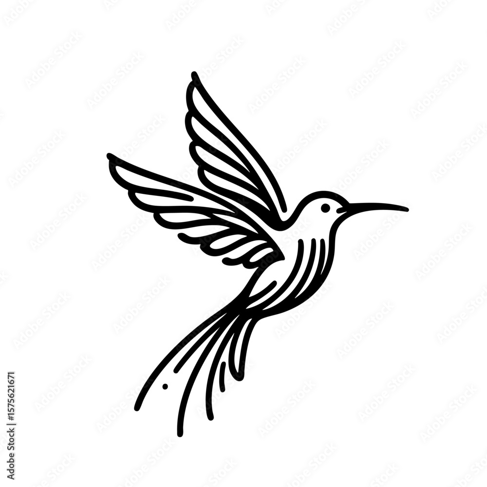 Obraz premium Elegant Hummingbird in Flight Nature Bird Line Art