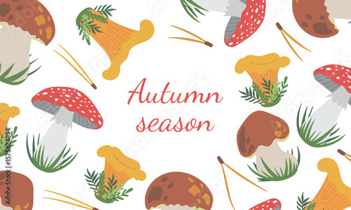Vector frame with edible porcini mushroom, boletus edulis, chanterelle, and poisonous red fly agaric amanita mushrooms isolated on white background. Hand drawn flat illustration, autumn fall design