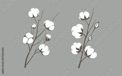 Botanical Illustration of Cotton Plant with Flowers and Leaves in Vintage Style