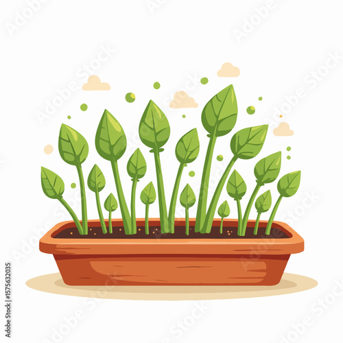 Homegrown plants growing in a container. Homegrown vegetables and herbs thriving in a rectangular planter, showing urban gardening in action. Perfect visual pantry of homegrown seedlings,