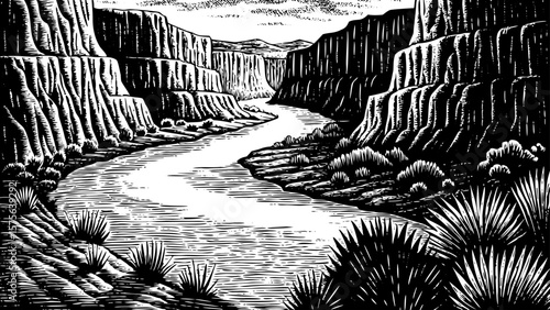 Colorado River cutting through Grand Canyon, steep rock walls, desert plants, captured with dynamic lines in black and white line art illustration perfect for nature lovers and outdoor design