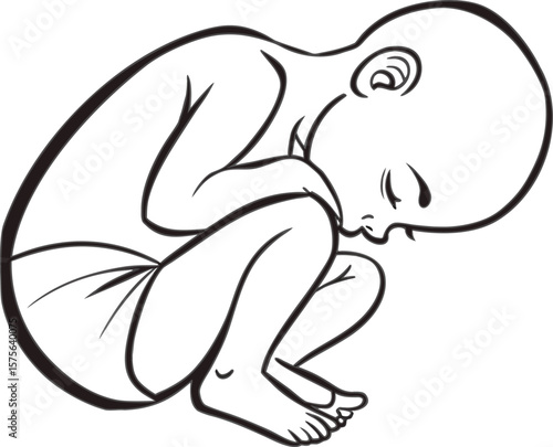 Vector art of a drawing of a baby in the fetal position isolated on white background
