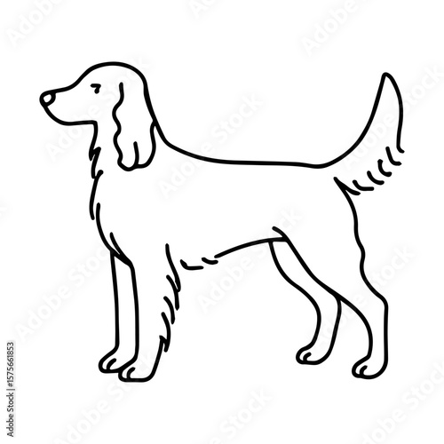 line icon Setter dog vector on white background
Vector icon of dog breed on white background