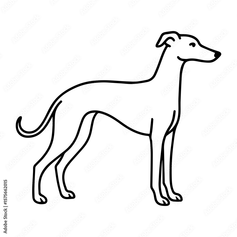 Obraz premium line icon whippet dog vector on white background Vector icon of dog breed on white background