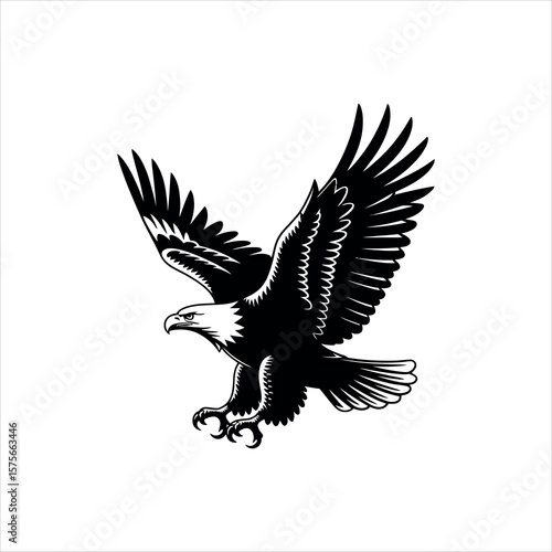 Photos eagle silhouette vector illustration