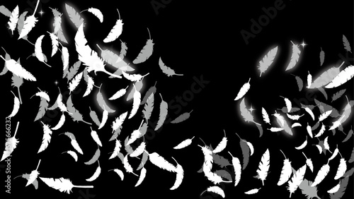 白い鳥の羽がふわふわと舞う（16:9）2 Feather Series:Many white bird feathers fluttering