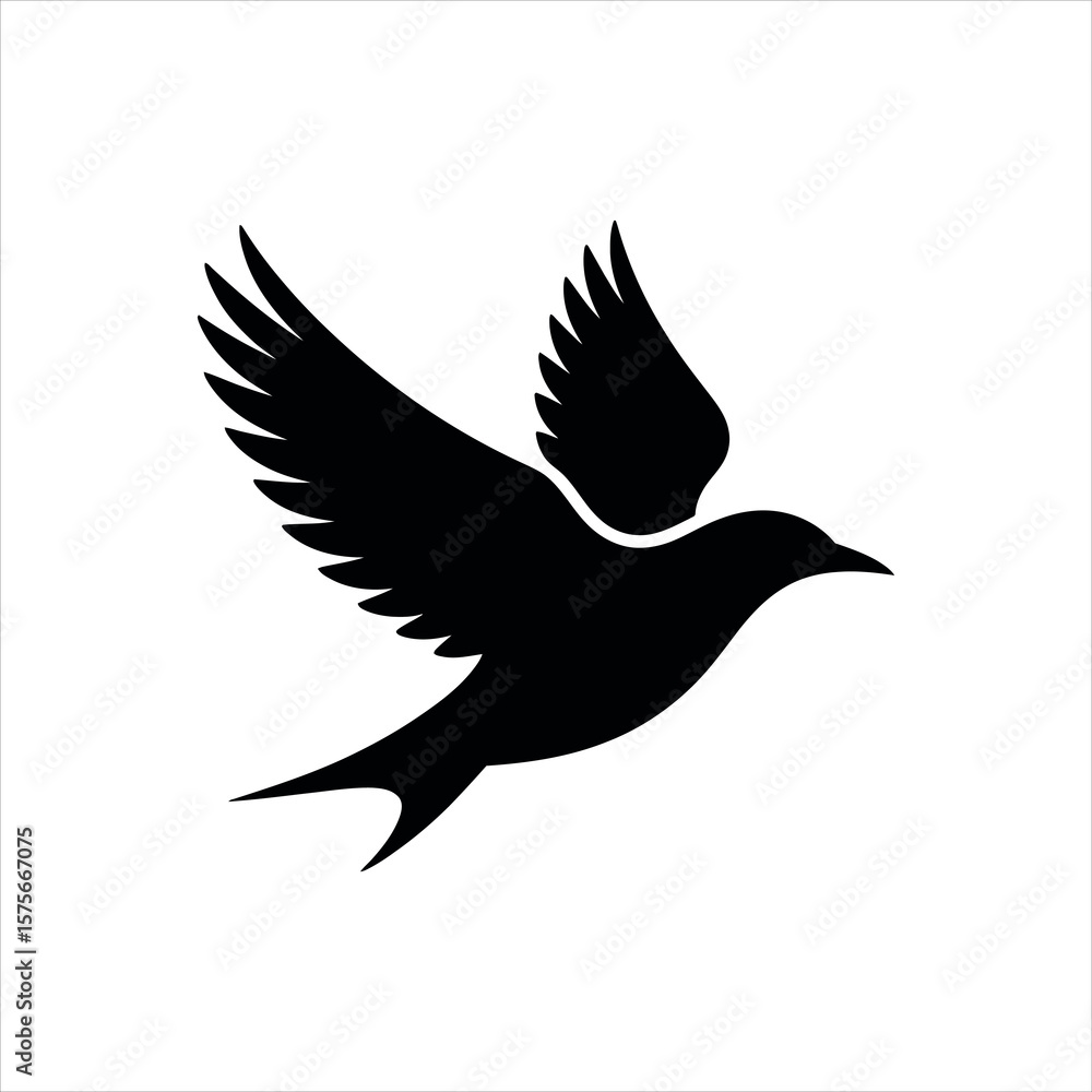 Obraz premium silhouette of a bird