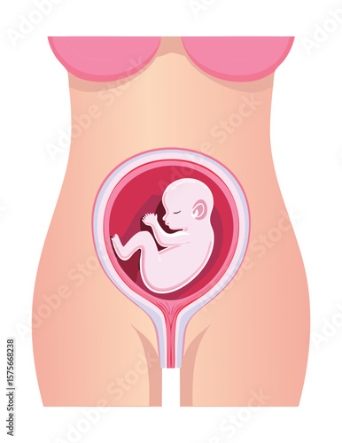 Fetus in Womb: A Pregnant Woman's Journey