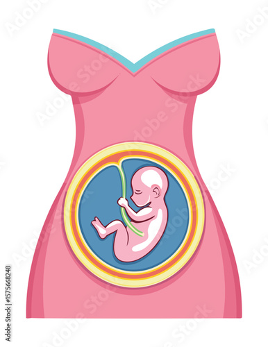 Early Stages of Fetal Development in Utero