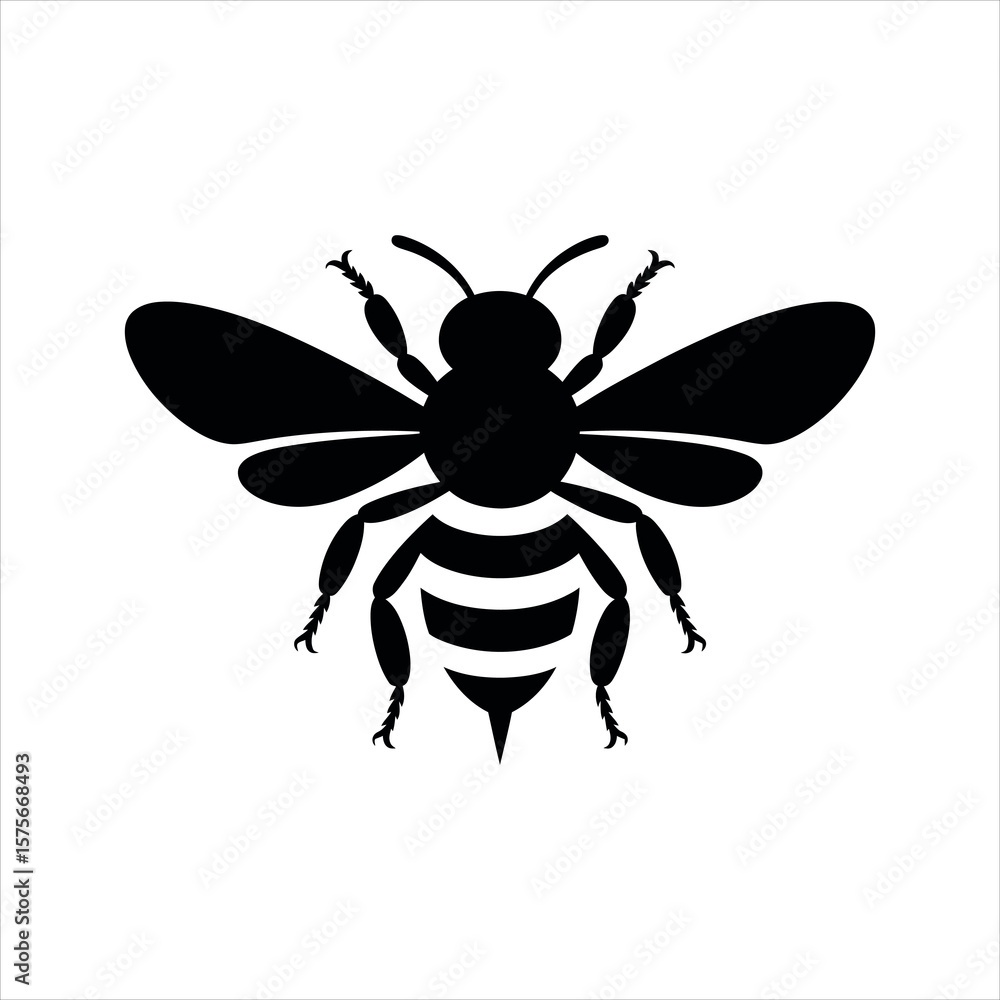 Fototapeta premium vector illustration of a bee