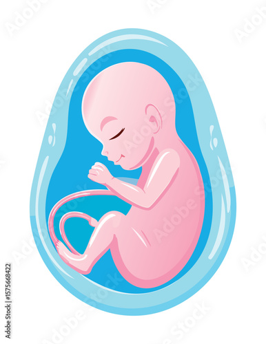 Light Skinned Fetus Sleeping in Womb Art