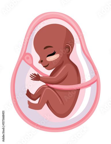 Brown Fetus with Closed Eyes in Womb