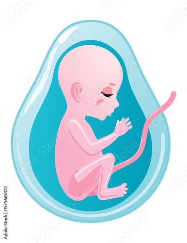 Cute Fetus Reaching in Womb Illustration